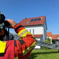storch1.jpeg