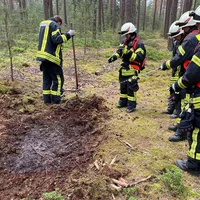 WaldbrandkleinJuni.jpg